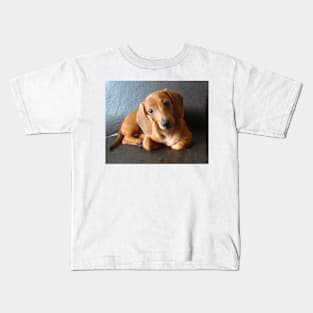 lily dachshund tekel puppy Kids T-Shirt